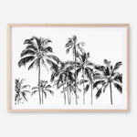 Shop Island Coconut Palms Photo Art Print a coastal themed photography wall art print from The Print Emporium wall artwork collection - Buy Australian made fine art poster and framed prints for the home and your interior decor, TPE-1281-AP