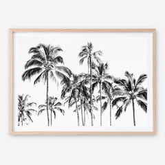 Shop Island Coconut Palms Photo Art Print a coastal themed photography wall art print from The Print Emporium wall artwork collection - Buy Australian made fine art poster and framed prints for the home and your interior decor, TPE-1281-AP