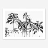 Shop Island Coconut Palms Photo Art Print a coastal themed photography wall art print from The Print Emporium wall artwork collection - Buy Australian made fine art poster and framed prints for the home and your interior decor, TPE-1281-AP