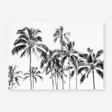 Shop Island Coconut Palms Photo Art Print a coastal themed photography wall art print from The Print Emporium wall artwork collection - Buy Australian made fine art poster and framed prints for the home and your interior decor, TPE-1281-AP