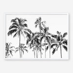 Shop Island Coconut Palms Photo Art Print a coastal themed photography wall art print from The Print Emporium wall artwork collection - Buy Australian made fine art poster and framed prints for the home and your interior decor, TPE-1281-AP