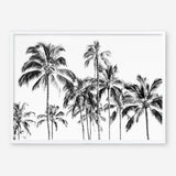 Shop Island Coconut Palms Photo Art Print a coastal themed photography wall art print from The Print Emporium wall artwork collection - Buy Australian made fine art poster and framed prints for the home and your interior decor, TPE-1281-AP