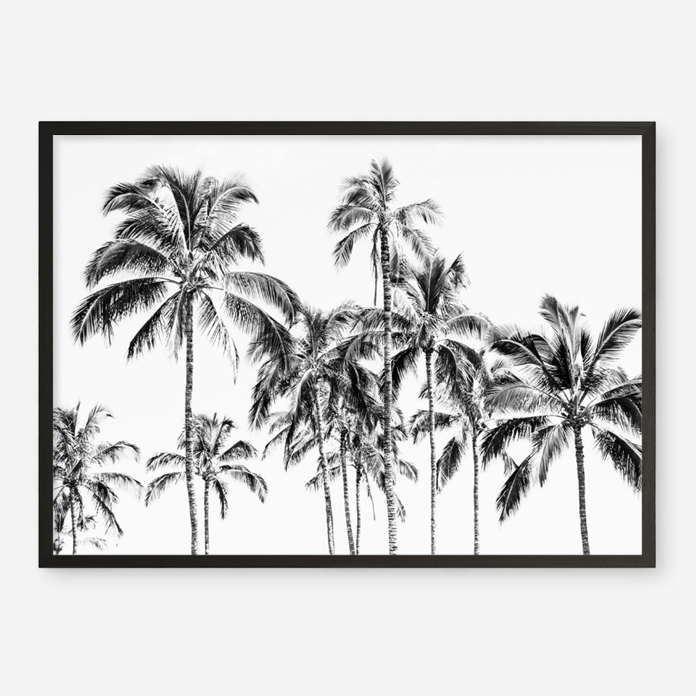 Shop Island Coconut Palms Photo Art Print a coastal themed photography wall art print from The Print Emporium wall artwork collection - Buy Australian made fine art poster and framed prints for the home and your interior decor, TPE-1281-AP