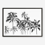 Shop Island Coconut Palms Photo Art Print a coastal themed photography wall art print from The Print Emporium wall artwork collection - Buy Australian made fine art poster and framed prints for the home and your interior decor, TPE-1281-AP