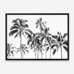 Shop Island Coconut Palms Photo Canvas Print a coastal themed photography framed stretched canvas print from The Print Emporium wall artwork collection - Buy Australian made prints for the home and your interior decor space, TPE-1281-CA-35X46-NF