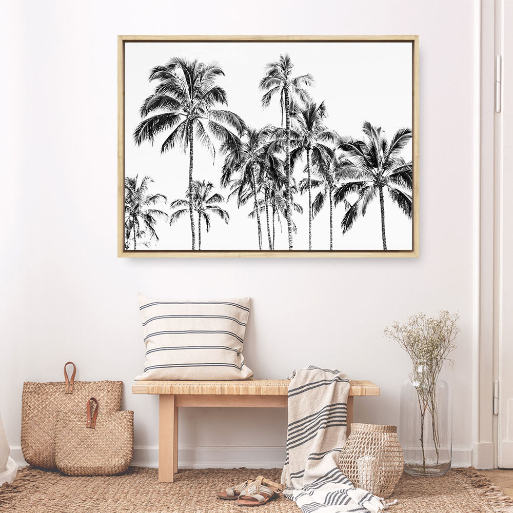 Shop Island Coconut Palms Photo Canvas Print a coastal themed photography framed stretched canvas print from The Print Emporium wall artwork collection - Buy Australian made prints for the home and your interior decor space, TPE-1281-CA-35X46-NF
