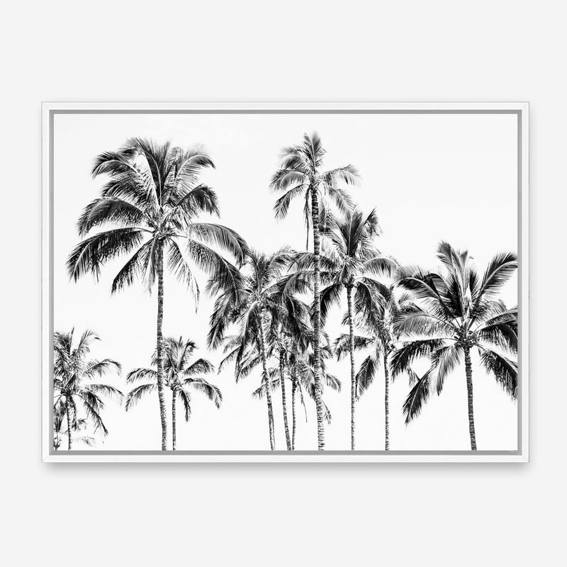 Shop Island Coconut Palms Photo Canvas Print a coastal themed photography framed stretched canvas print from The Print Emporium wall artwork collection - Buy Australian made prints for the home and your interior decor space, TPE-1281-CA-35X46-NF