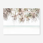 Shop Island Summer Photo Art Print a coastal themed photography wall art print from The Print Emporium wall artwork collection - Buy Australian made fine art poster and framed prints for the home and your interior decor, TPE-1094-AP
