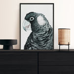 Shop Jimmy The Black Cockatoo Art Print a painted bird themed wall art print from The Print Emporium wall artwork collection - Buy Australian made fine art painting style poster and framed prints for the home and your interior decor room, TPE-228-AP