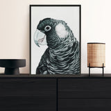 Shop Jimmy The Black Cockatoo Art Print a painted bird themed wall art print from The Print Emporium wall artwork collection - Buy Australian made fine art painting style poster and framed prints for the home and your interior decor room, TPE-228-AP