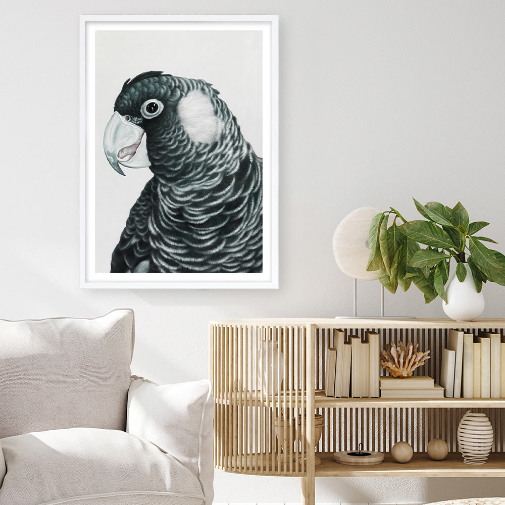 Shop Jimmy The Black Cockatoo Art Print a painted bird themed wall art print from The Print Emporium wall artwork collection - Buy Australian made fine art painting style poster and framed prints for the home and your interior decor room, TPE-228-AP