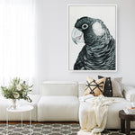 Shop Jimmy The Black Cockatoo Canvas Print a painted bird themed framed canvas wall art print from The Print Emporium artwork collection - Buy Australian made fine art painting style stretched canvas prints for the home and your interior decor space, TPE-228-CA-35X46-NF