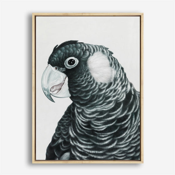 Shop Jimmy The Black Cockatoo Canvas Print a painted bird themed framed canvas wall art print from The Print Emporium artwork collection - Buy Australian made fine art painting style stretched canvas prints for the home and your interior decor space, TPE-228-CA-35X46-NF