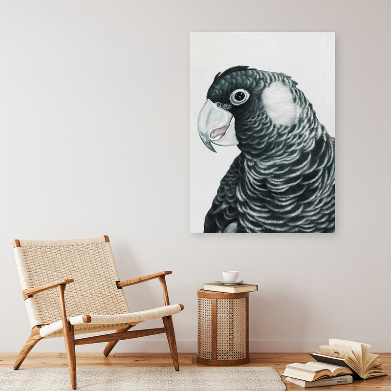 Shop Jimmy The Black Cockatoo Canvas Print a painted bird themed framed canvas wall art print from The Print Emporium artwork collection - Buy Australian made fine art painting style stretched canvas prints for the home and your interior decor space, TPE-228-CA-35X46-NF