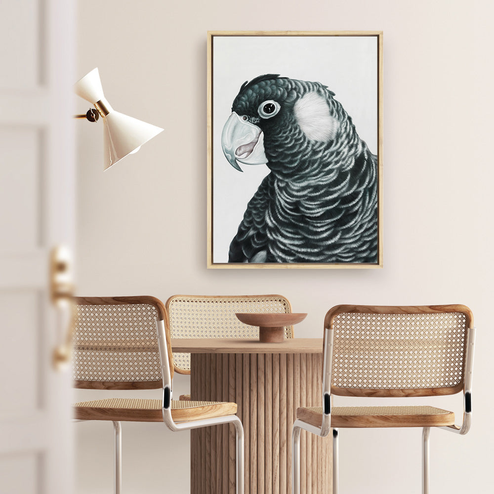 Shop Jimmy The Black Cockatoo Canvas Print a painted bird themed framed canvas wall art print from The Print Emporium artwork collection - Buy Australian made fine art painting style stretched canvas prints for the home and your interior decor space, TPE-228-CA-35X46-NF