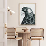 Shop Jimmy The Black Cockatoo Canvas Print a painted bird themed framed canvas wall art print from The Print Emporium artwork collection - Buy Australian made fine art painting style stretched canvas prints for the home and your interior decor space, TPE-228-CA-35X46-NF