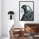 Shop Jimmy The Black Cockatoo Canvas Print a painted bird themed framed canvas wall art print from The Print Emporium artwork collection - Buy Australian made fine art painting style stretched canvas prints for the home and your interior decor space, TPE-228-CA-35X46-NF