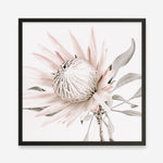 Shop King Protea II (Square) Photo Art Print a floral themed photography wall art print from The Print Emporium wall artwork collection - Buy Australian made fine art poster and framed prints for the home and your interior decor room, TPE-611-AP