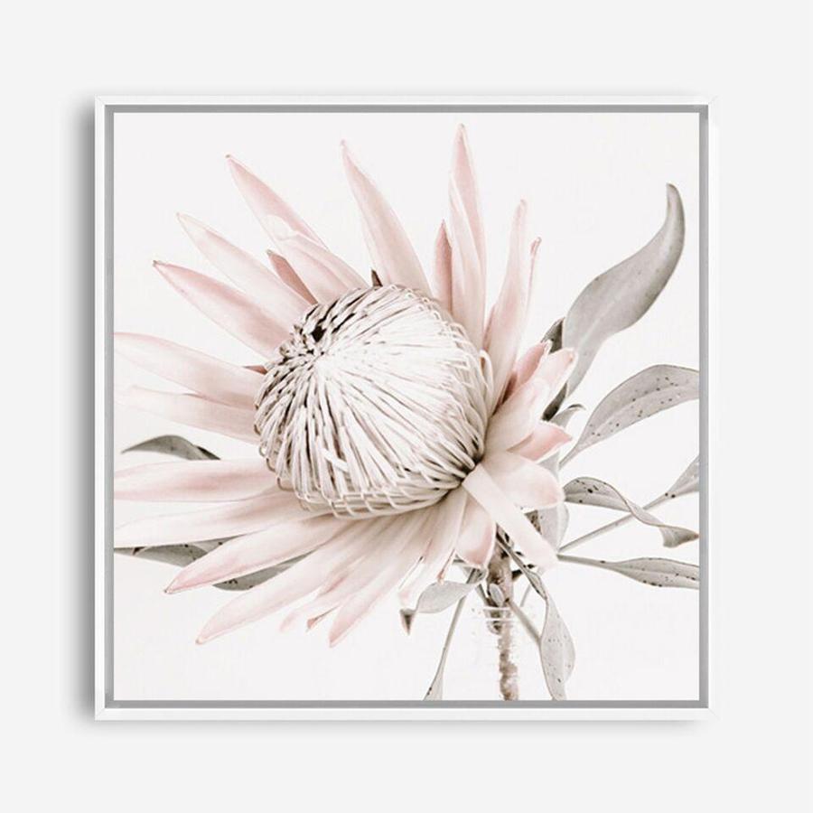 Shop King Protea II (Square) Photo Canvas a floral themed photography framed stretched canvas print from The Print Emporium wall artwork collection - Buy Australian made prints for the home and your interior decor space, TPE-611-CA-40X40-NF