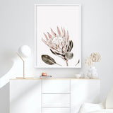 Shop King Protea Photo Art Print a floral themed photography wall art print from The Print Emporium wall artwork collection - Buy Australian made fine art poster and framed prints for the home and your interior decor room, TPE-590-AP