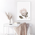 Shop King Protea Photo Art Print a floral themed photography wall art print from The Print Emporium wall artwork collection - Buy Australian made fine art poster and framed prints for the home and your interior decor room, TPE-590-AP