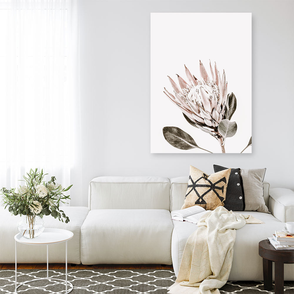 Shop King Protea Photo Canvas Print a floral themed photography framed stretched canvas print from The Print Emporium wall artwork collection - Buy Australian made prints for the home and your interior decor space, TPE-590-CA-35X46-NF