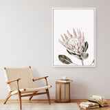 Shop King Protea Photo Canvas Print a floral themed photography framed stretched canvas print from The Print Emporium wall artwork collection - Buy Australian made prints for the home and your interior decor space, TPE-590-CA-35X46-NF