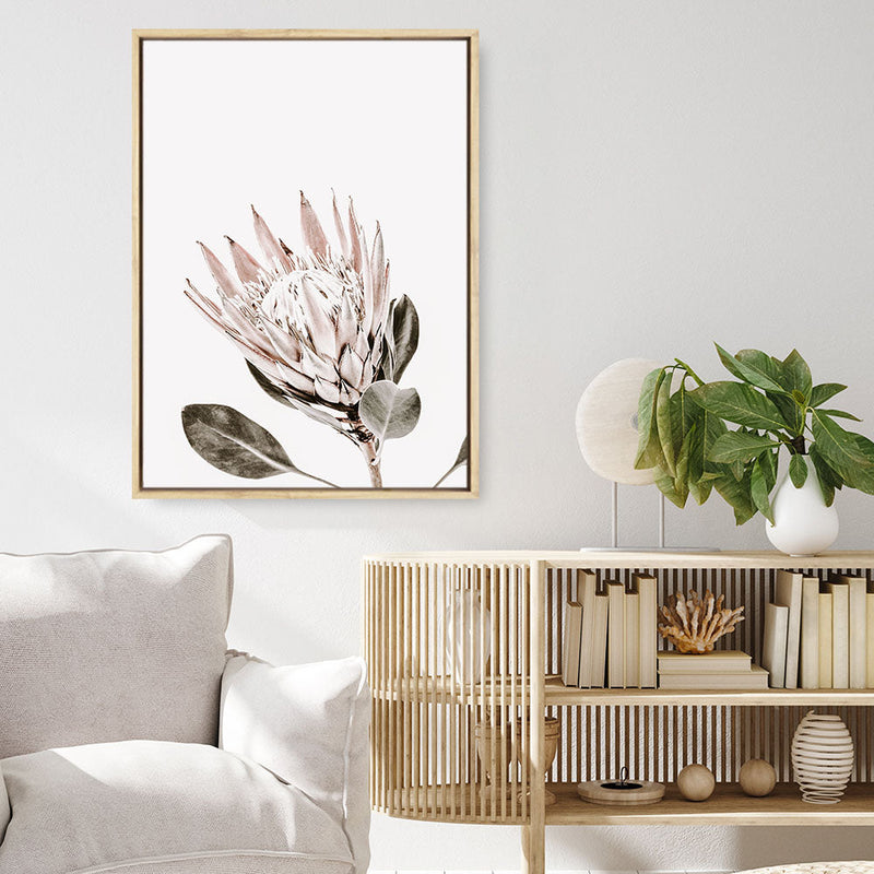 Shop King Protea Photo Canvas Print a floral themed photography framed stretched canvas print from The Print Emporium wall artwork collection - Buy Australian made prints for the home and your interior decor space, TPE-590-CA-35X46-NF