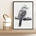 Shop Kookaburra On A Branch Art Print a painted bird themed wall art print from The Print Emporium wall artwork collection - Buy Australian made fine art painting style poster and framed prints for the home and your interior decor room, TPE-389-AP