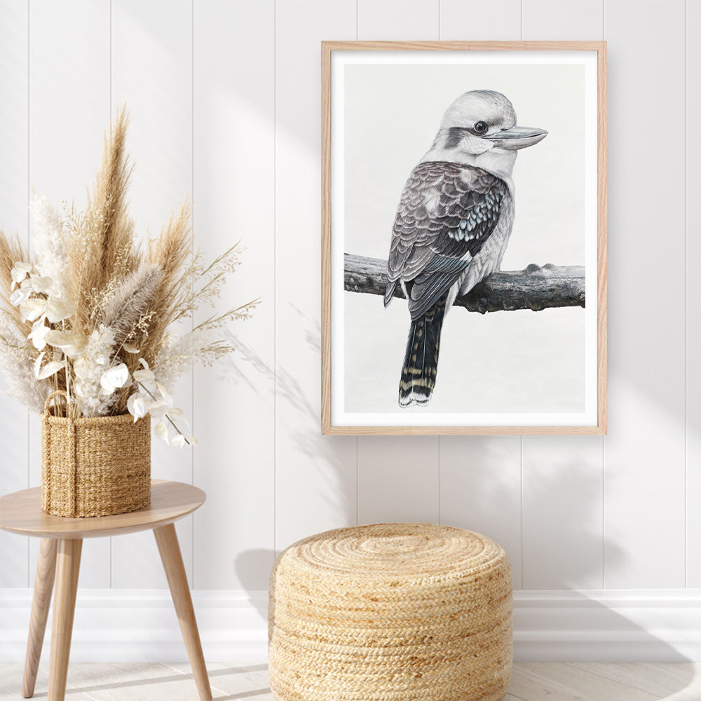 Shop Kookaburra On A Branch Art Print a painted bird themed wall art print from The Print Emporium wall artwork collection - Buy Australian made fine art painting style poster and framed prints for the home and your interior decor room, TPE-389-AP