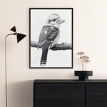 Shop Kookaburra On A Branch Art Print a painted bird themed wall art print from The Print Emporium wall artwork collection - Buy Australian made fine art painting style poster and framed prints for the home and your interior decor room, TPE-389-AP