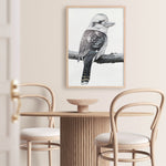 Shop Kookaburra On A Branch Art Print a painted bird themed wall art print from The Print Emporium wall artwork collection - Buy Australian made fine art painting style poster and framed prints for the home and your interior decor room, TPE-389-AP
