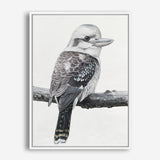 Shop Kookaburra On A Branch Canvas Print a painted bird themed framed canvas wall art print from The Print Emporium artwork collection - Buy Australian made fine art painting style stretched canvas prints for the home and your interior decor space, TPE-389-CA-35X46-NF