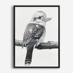 Shop Kookaburra On A Branch Canvas Print a painted bird themed framed canvas wall art print from The Print Emporium artwork collection - Buy Australian made fine art painting style stretched canvas prints for the home and your interior decor space, TPE-389-CA-35X46-NF