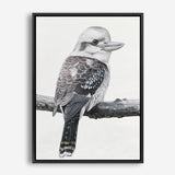 Shop Kookaburra On A Branch Canvas Print a painted bird themed framed canvas wall art print from The Print Emporium artwork collection - Buy Australian made fine art painting style stretched canvas prints for the home and your interior decor space, TPE-389-CA-35X46-NF