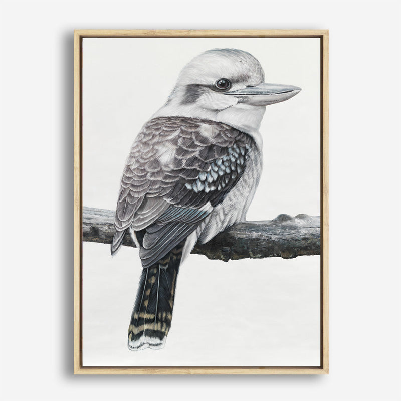 Shop Kookaburra On A Branch Canvas Print a painted bird themed framed canvas wall art print from The Print Emporium artwork collection - Buy Australian made fine art painting style stretched canvas prints for the home and your interior decor space, TPE-389-CA-35X46-NF