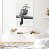 Shop Kookaburra On A Branch Canvas Print a painted bird themed framed canvas wall art print from The Print Emporium artwork collection - Buy Australian made fine art painting style stretched canvas prints for the home and your interior decor space, TPE-389-CA-35X46-NF