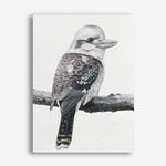 Shop Kookaburra On A Branch Canvas Print a painted bird themed framed canvas wall art print from The Print Emporium artwork collection - Buy Australian made fine art painting style stretched canvas prints for the home and your interior decor space, TPE-389-CA-35X46-NF