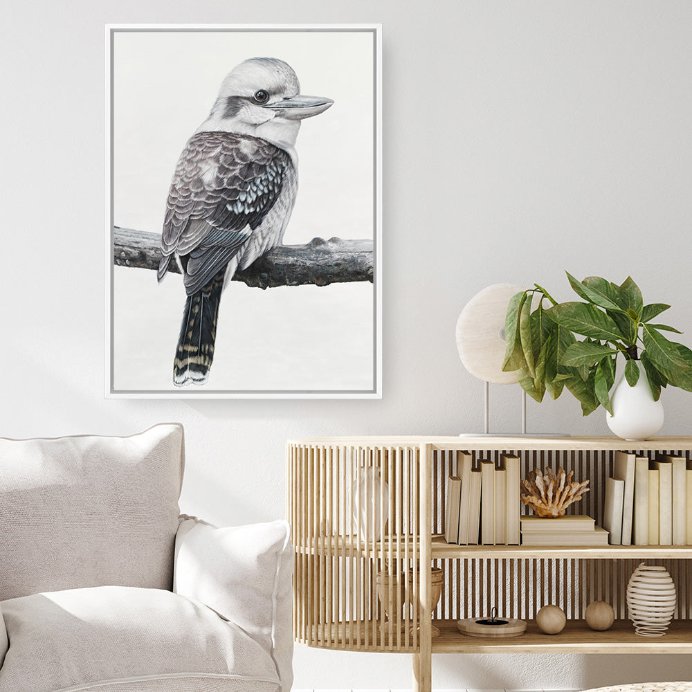 Shop Kookaburra On A Branch Canvas Print a painted bird themed framed canvas wall art print from The Print Emporium artwork collection - Buy Australian made fine art painting style stretched canvas prints for the home and your interior decor space, TPE-389-CA-35X46-NF