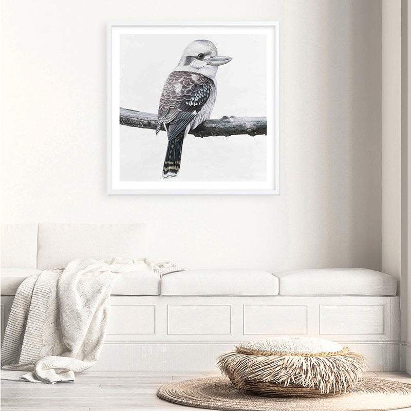 Shop Kookaburra On A Branch (Square) Art Print a painted bird themed wall art print from The Print Emporium wall artwork collection - Buy Australian made fine art painting style poster and framed prints for the home and your interior decor room, TPE-388-AP
