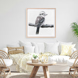 Shop Kookaburra On A Branch (Square) Art Print a painted bird themed wall art print from The Print Emporium wall artwork collection - Buy Australian made fine art painting style poster and framed prints for the home and your interior decor room, TPE-388-AP