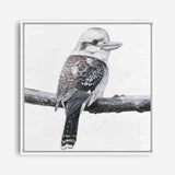 Shop Kookaburra On A Branch (Square) Canvas Print a painted bird themed framed canvas wall art print from The Print Emporium artwork collection - Buy Australian made fine art painting style stretched canvas prints for the home and your interior decor space, TPE-388-CA-40X40-NF