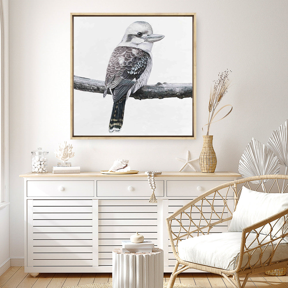 Shop Kookaburra On A Branch (Square) Canvas Print a painted bird themed framed canvas wall art print from The Print Emporium artwork collection - Buy Australian made fine art painting style stretched canvas prints for the home and your interior decor space, TPE-388-CA-40X40-NF