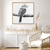 Shop Kookaburra On A Branch (Square) Canvas Print a painted bird themed framed canvas wall art print from The Print Emporium artwork collection - Buy Australian made fine art painting style stretched canvas prints for the home and your interior decor space, TPE-388-CA-40X40-NF