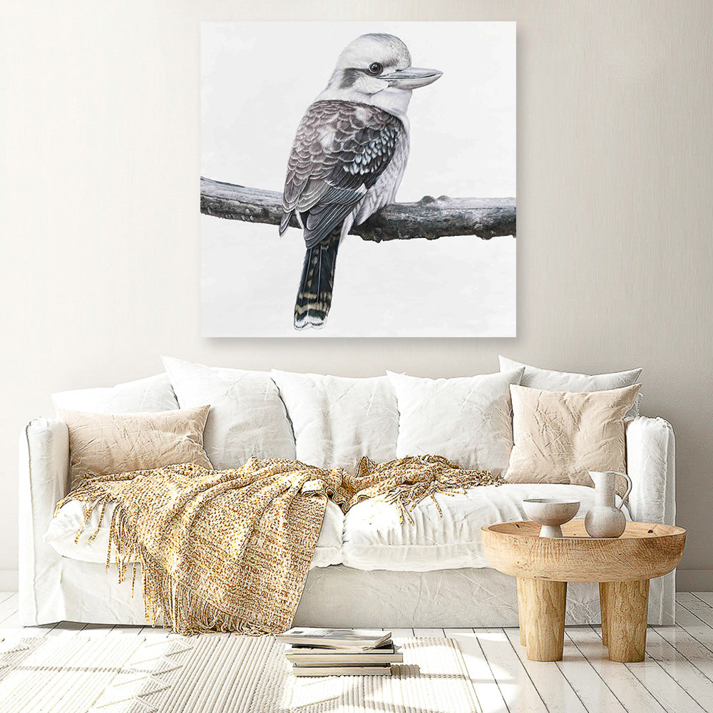Shop Kookaburra On A Branch (Square) Canvas Print a painted bird themed framed canvas wall art print from The Print Emporium artwork collection - Buy Australian made fine art painting style stretched canvas prints for the home and your interior decor space, TPE-388-CA-40X40-NF
