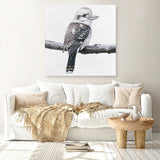 Shop Kookaburra On A Branch (Square) Canvas Print a painted bird themed framed canvas wall art print from The Print Emporium artwork collection - Buy Australian made fine art painting style stretched canvas prints for the home and your interior decor space, TPE-388-CA-40X40-NF