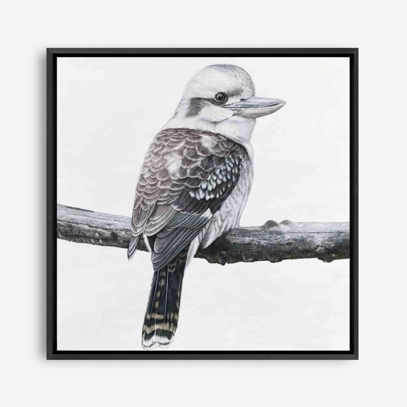 Shop Kookaburra On A Branch (Square) Canvas Print a painted bird themed framed canvas wall art print from The Print Emporium artwork collection - Buy Australian made fine art painting style stretched canvas prints for the home and your interior decor space, TPE-388-CA-40X40-NF