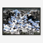 Shop La Fontelina I Photo Art Print a coastal themed photography wall art print from The Print Emporium wall artwork collection - Buy Australian made fine art poster and framed prints for the home and your interior decor, TPE-716-AP