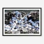 Shop La Fontelina I Photo Art Print a coastal themed photography wall art print from The Print Emporium wall artwork collection - Buy Australian made fine art poster and framed prints for the home and your interior decor, TPE-716-AP