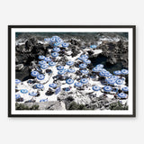 Shop La Fontelina I Photo Art Print a coastal themed photography wall art print from The Print Emporium wall artwork collection - Buy Australian made fine art poster and framed prints for the home and your interior decor, TPE-716-AP